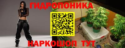 шишки Ижевск