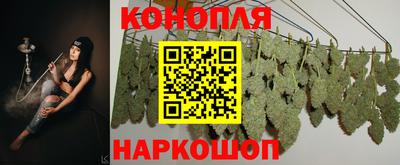шишки Ижевск